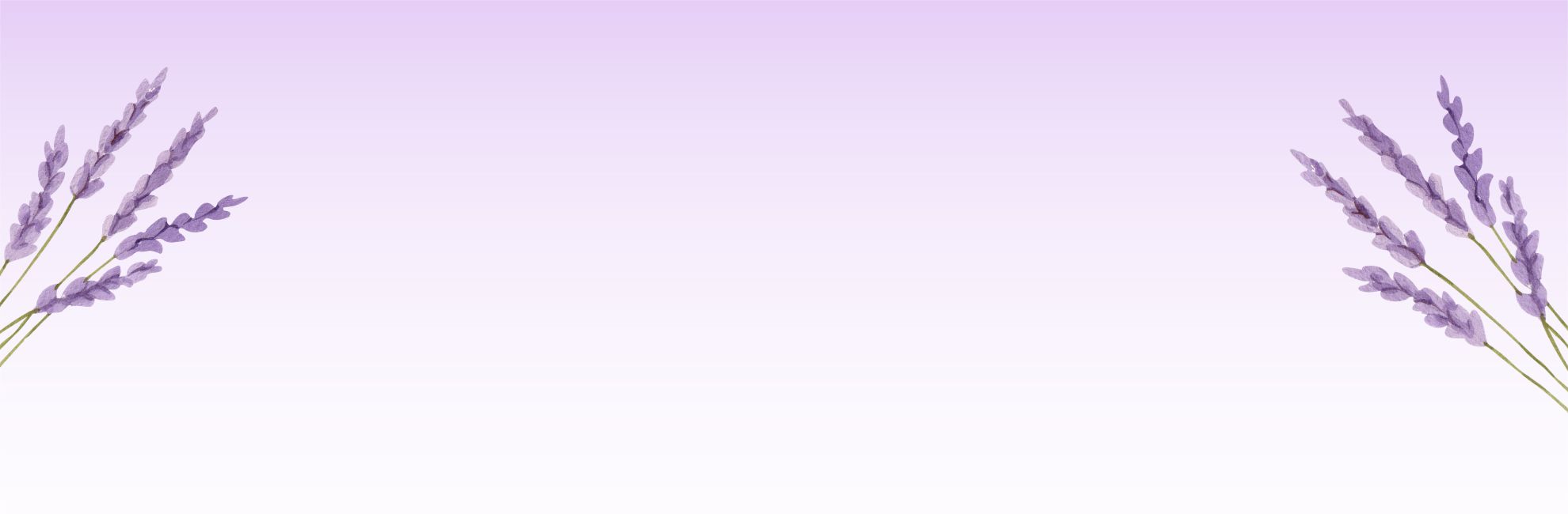 Purple lavender boughs